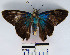  ( - YB-BCI11879)  @13 [ ] No Rights Reserved  Unspecified Unspecified