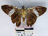  ( - YB-BCI11879)  @13 [ ] No Rights Reserved  Unspecified Unspecified