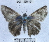  ( - YB-BCI22257)  @13 [ ] No Rights Reserved (2011) Unspecified Unspecified