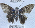  ( - YB-BCI23278)  @12 [ ] No Rights Reserved (2011) Unspecified Unspecified