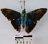  ( - YB-BCI2792)  @13 [ ] No Rights Reserved  Unspecified Unspecified