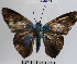  ( - YB-BCI66103)  @14 [ ] No Rights Reserved  Unspecified Unspecified