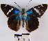  ( - YB-BCI2697)  @13 [ ] No Rights Reserved  Unspecified Unspecified