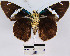  ( - YB-BCI2697)  @13 [ ] No Rights Reserved  Unspecified Unspecified