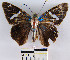  ( - YB-BCI5092)  @13 [ ] No Rights Reserved  Unspecified Unspecified