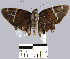  ( - YB-BCI2732)  @13 [ ] No Rights Reserved  Unspecified Unspecified
