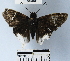  ( - YB-BCI56072)  @11 [ ] No Rights Reserved  Unspecified Unspecified