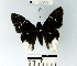  ( - YB-BCI63992)  @13 [ ] No Rights Reserved  Unspecified Unspecified