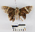  ( - YB-BCI12844)  @12 [ ] No Rights Reserved  Unspecified Unspecified
