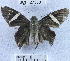  ( - YB-BCI27350)  @13 [ ] No Rights Reserved (2011) Unspecified Unspecified