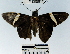  ( - YB-BCI50097)  @13 [ ] No Rights Reserved  Unspecified Unspecified