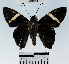  ( - YB-BCI56063)  @12 [ ] No Rights Reserved  Unspecified Unspecified