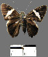  ( - YB-BCI13215)  @13 [ ] No Rights Reserved  Unspecified Unspecified