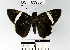 ( - YB-BCI63955)  @13 [ ] No Rights Reserved  Unspecified Unspecified