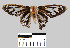  ( - YB-BCI7772)  @12 [ ] No Rights Reserved  Unspecified Unspecified
