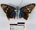  ( - YB-BCI10365)  @12 [ ] No Rights Reserved  Unspecified Unspecified