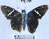  ( - YB-BCI41364)  @13 [ ] No Rights Reserved (2011) Unspecified Unspecified
