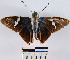  ( - YB-BCI6215)  @13 [ ] No Rights Reserved  Unspecified Unspecified