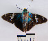  ( - YB-BCI6272)  @13 [ ] No Rights Reserved  Unspecified Unspecified