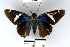  ( - YB-BCI49994)  @13 [ ] No Rights Reserved  Unspecified Unspecified