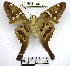  ( - YB-99-BCI-1601)  @11 [ ] No Rights Reserved  Unspecified Unspecified