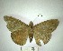  ( - YB-BCI183370)  @11 [ ] No Rights Reserved  Unspecified Unspecified