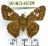  ( - YB-97-BCI-10029)  @11 [ ] No Rights Reserved  Unspecified Unspecified
