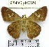  ( - YB-97-BCI-10029)  @11 [ ] No Rights Reserved  Unspecified Unspecified