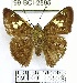  ( - YB-99-BCI-2895)  @11 [ ] No Rights Reserved  Unspecified Unspecified