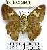  ( - YB-99-BCI-2895)  @11 [ ] No Rights Reserved  Unspecified Unspecified