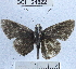  ( - YB-BCI24822)  @12 [ ] No Rights Reserved (2011) Unspecified Unspecified