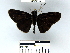  ( - YB-BCI50110)  @12 [ ] No Rights Reserved  Unspecified Unspecified