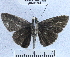  ( - YB-BCI41564)  @12 [ ] No Rights Reserved (2011) Unspecified Unspecified