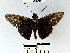  ( - YB-BCI52711)  @13 [ ] No Rights Reserved  Unspecified Unspecified