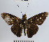  ( - YB-BCI68986)  @13 [ ] No Rights Reserved  Unspecified Unspecified