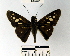  ( - YB-BCI64607)  @13 [ ] No Rights Reserved  Unspecified Unspecified