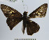  ( - YB-BCI64751)  @12 [ ] No Rights Reserved  Unspecified Unspecified