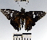  ( - YB-BCI55897)  @11 [ ] No Rights Reserved  Unspecified Unspecified