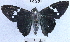 ( - YB-BCI40216)  @14 [ ] No Rights Reserved (2011) Unspecified Unspecified