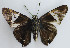  ( - YB-BCI65919)  @12 [ ] No Rights Reserved  Unspecified Unspecified
