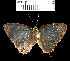  ( - YB-BCI234)  @13 [ ] No Rights Reserved  Unspecified Unspecified