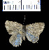  ( - YB-BCI7)  @11 [ ] No Rights Reserved  Unspecified Unspecified