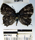  ( - YB-BCI49715)  @12 [ ] No Rights Reserved  Unspecified Unspecified
