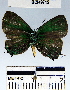  ( - YB-BCI49715)  @12 [ ] No Rights Reserved  Unspecified Unspecified