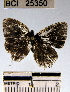  ( - YB-BCI25350)  @13 [ ] No Rights Reserved  Unspecified Unspecified