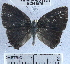  ( - YB-BCI41576)  @12 [ ] No Rights Reserved (2011) Unspecified Unspecified