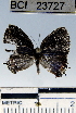  ( - YB-BCI23727)  @12 [ ] No Rights Reserved  Unspecified Unspecified