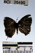  ( - YB-BCI26490)  @12 [ ] No Rights Reserved  Unspecified Unspecified