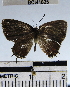  ( - YB-BCI41625)  @12 [ ] No Rights Reserved  Unspecified Unspecified