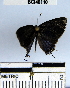  ( - YB-BCI46110)  @12 [ ] No Rights Reserved  Unspecified Unspecified
